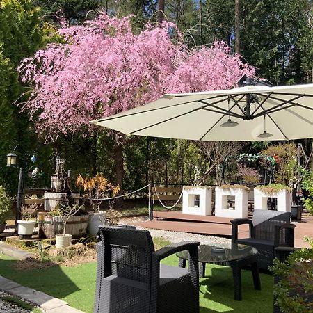 Kakureyado Fujikawaguchiko Bed & Breakfast Ngoại thất bức ảnh